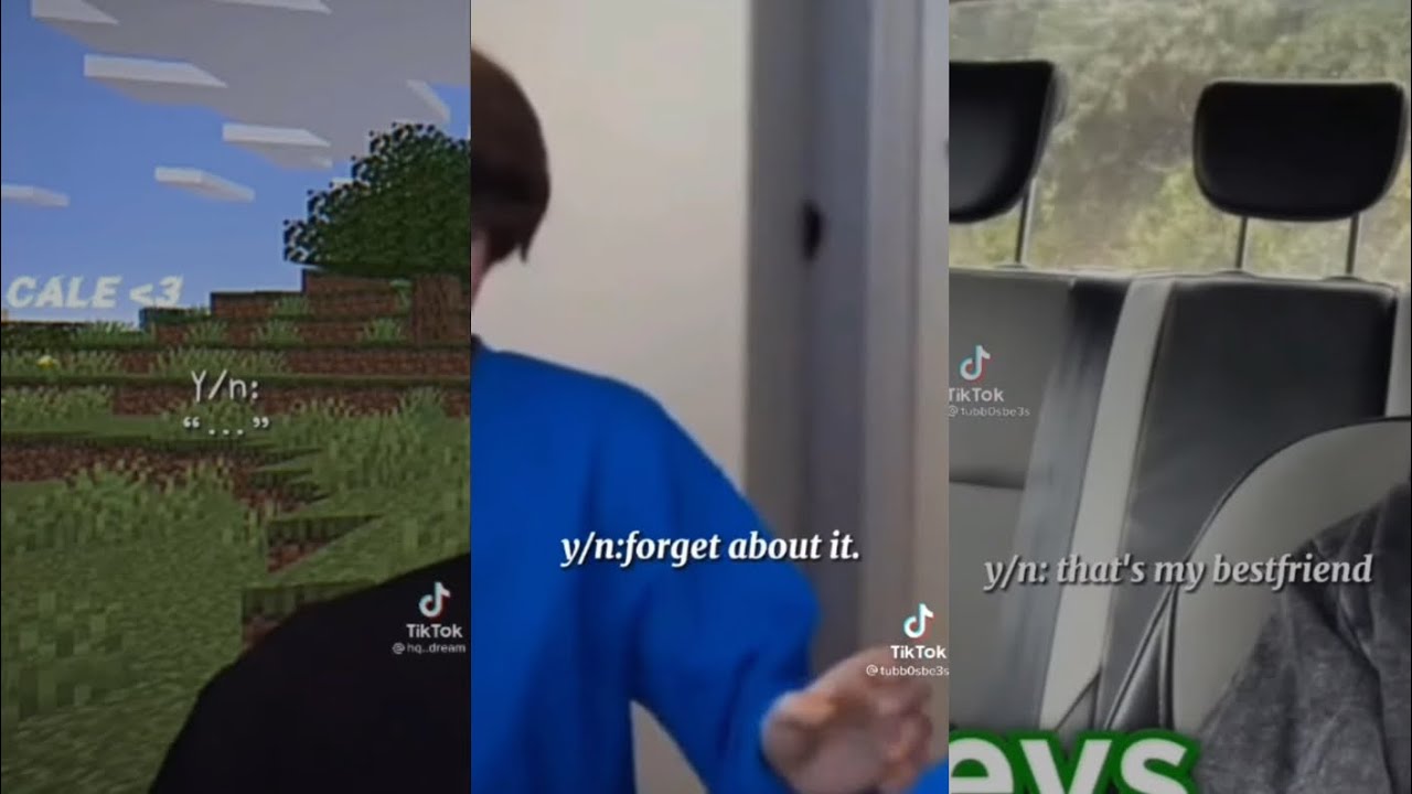 mcyt povs once more ft. Y/N