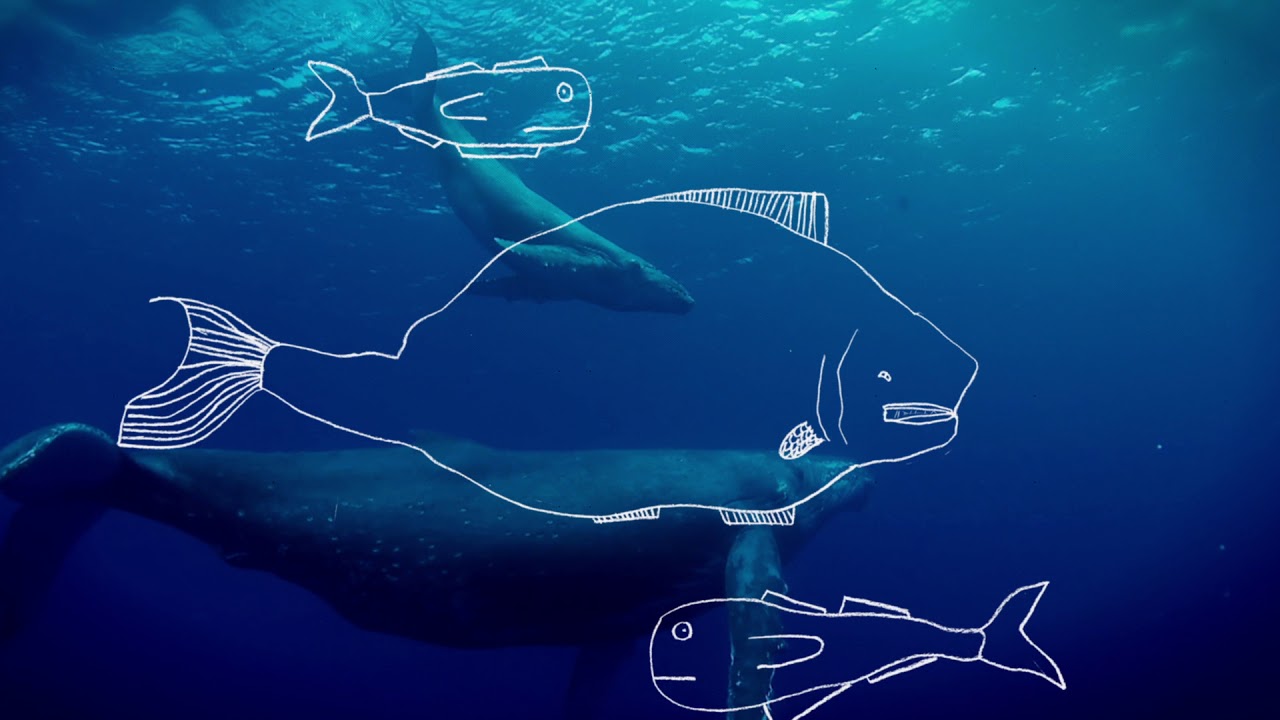 Adidas Parley: Committed to saving the oceans