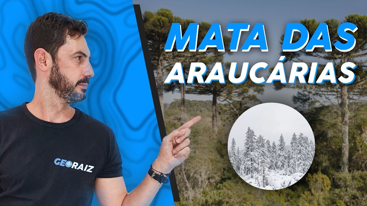 BIOMAS DO BRASIL -  MATA DAS ARAUCÁRIAS