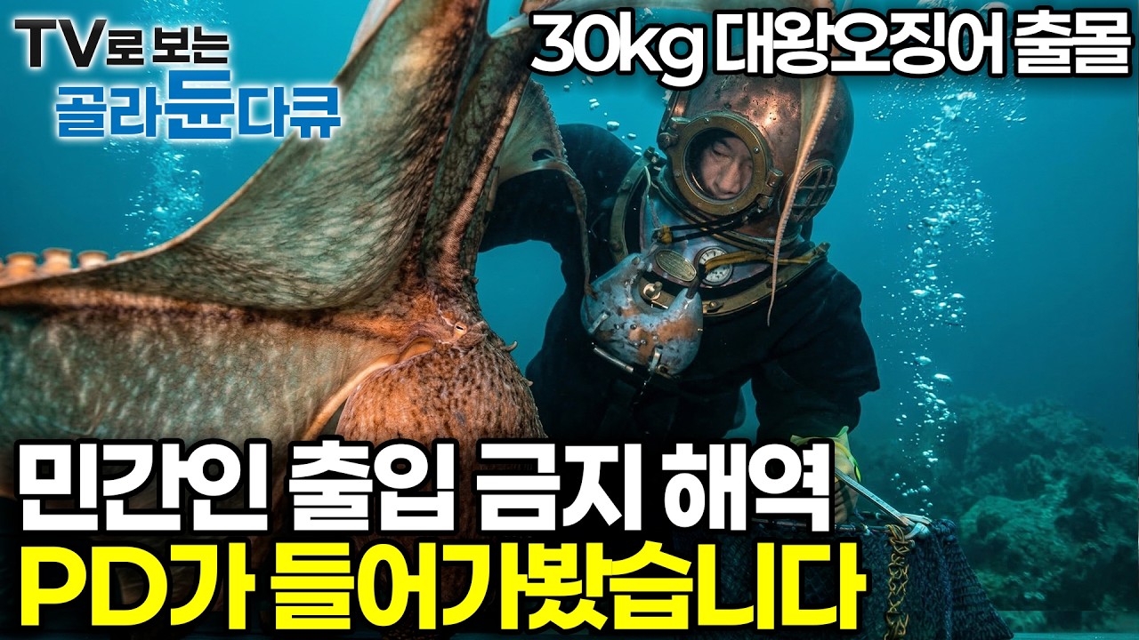 스쿠버 장비 대신 60kg 무쇠옷을 입는 머구리. 호스 하나에 목숨걸고 북한과 맞닿은 민간인 통제 구역의 검푸른 심해를 걷는 소름 돋는 조업 현장｜PD로그｜#골라듄다큐