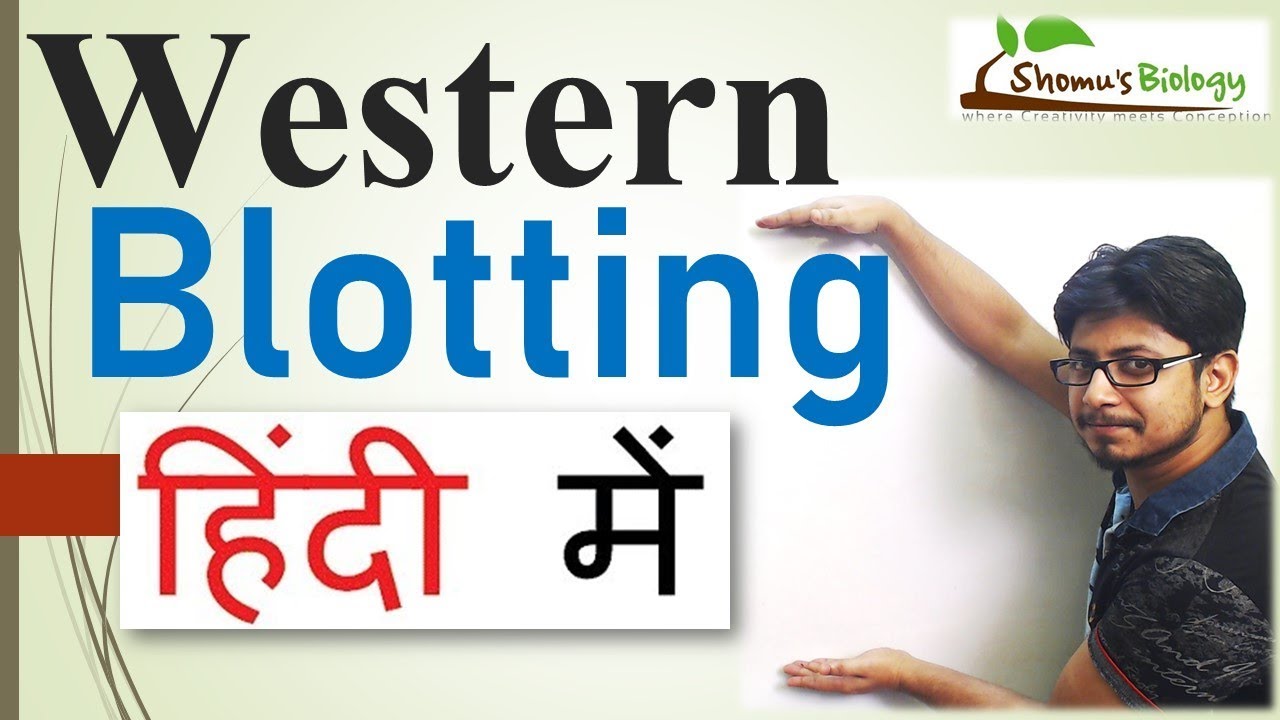 Western Blotting in Hindi
