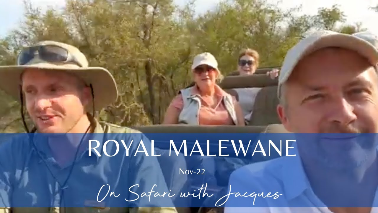 Royal Malewane: On Safari with Jaques - Luke Brown Zim
