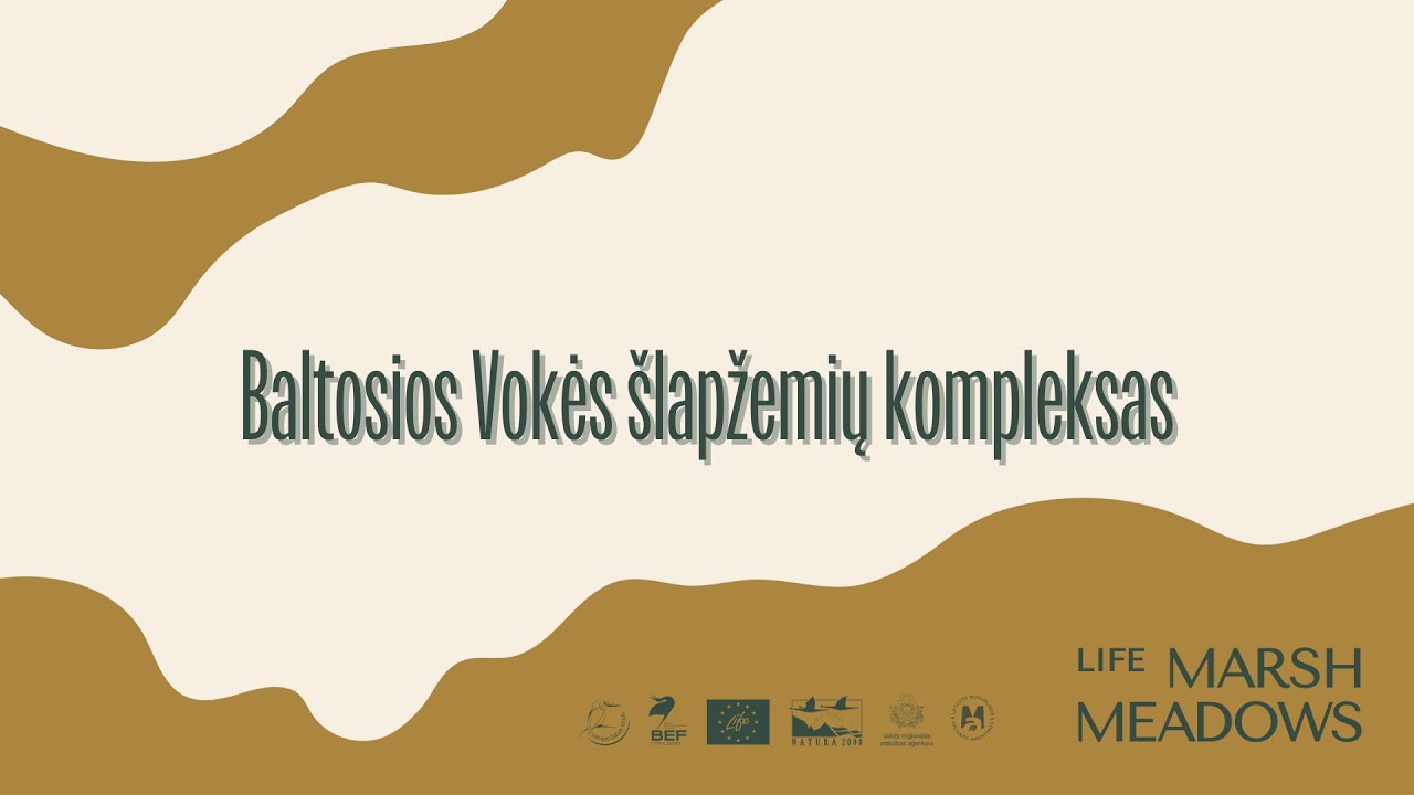 Baltosios Vokės šlapžemių kompleksas