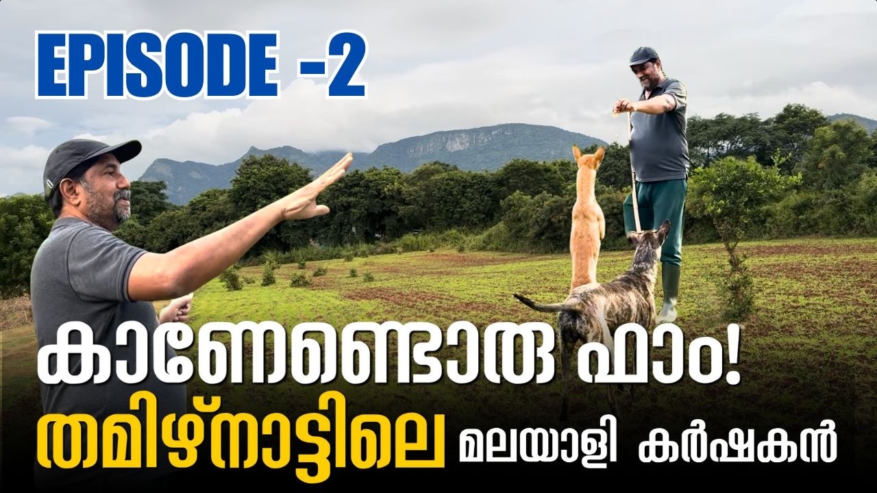 സേതുമടയിലെ മലയാളി കർഷകന്റെ കൃഷി അനുഭങ്ങൾ  | Akash Nature Farm Visit - EPISODE 2
