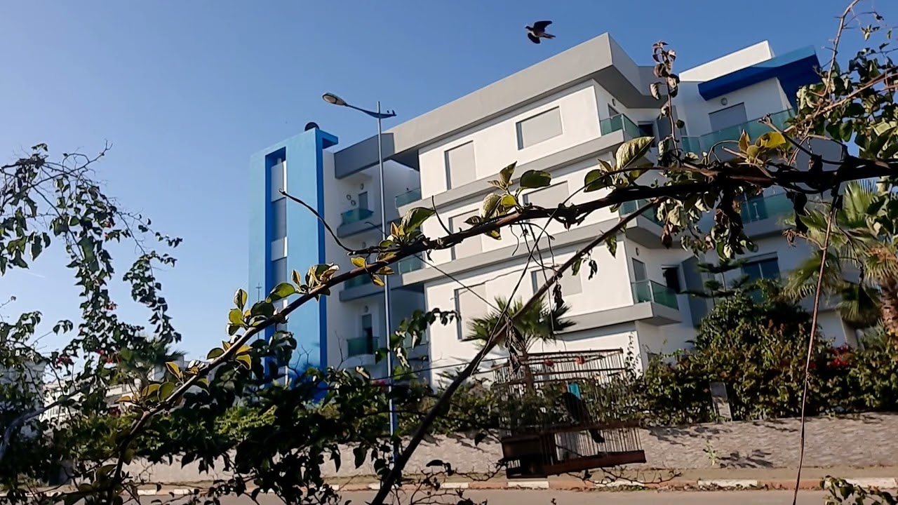 طلق جديد