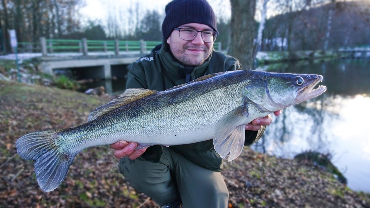 Lov candáta a štiky na přívlač na gumové nástrahy.