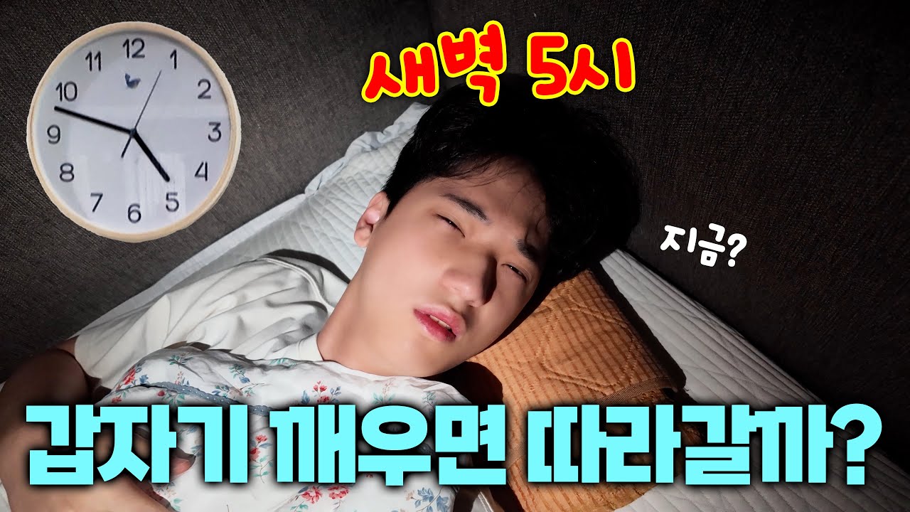 새벽 5시에 갑자기 깨워서 비행기 타러 가자고 한다면?ㅋㅋㅋ 따라갈까?