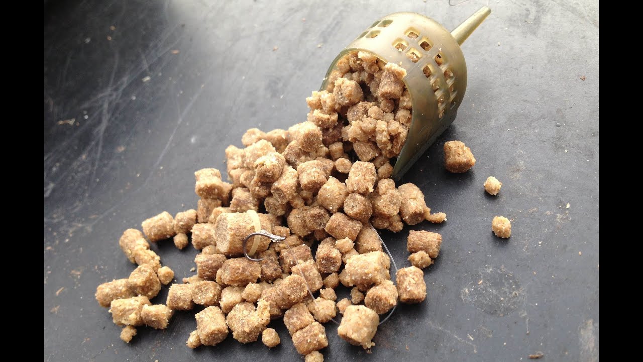 Fishing The Pellet Feeder For Carp
