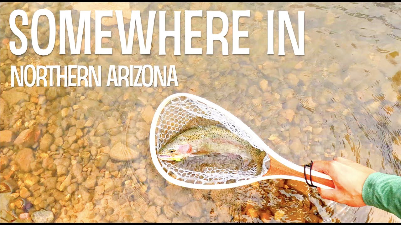 SECLUDED LAKE = BIG FISH! | Fishing Somewhere in Northern Arizona