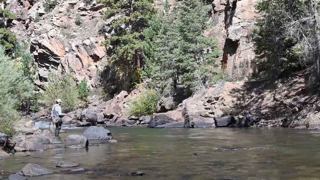 September Hopper Fishing - Fly Fishing Clear Creek Colorado
