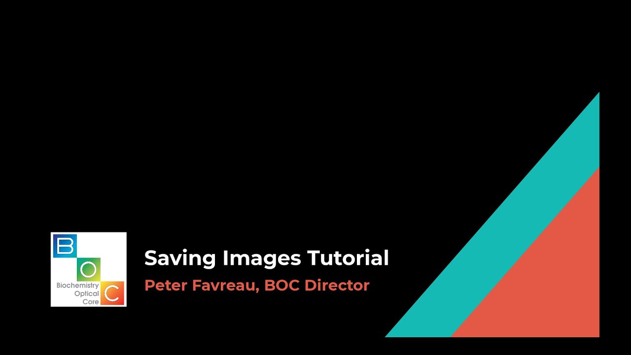 Saving images in NIS-Elements tutorial