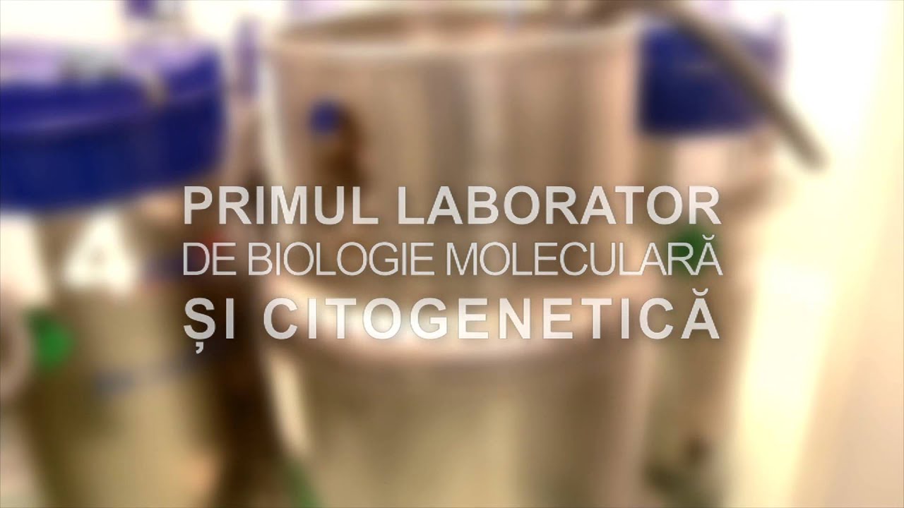 Daruieste Viata
