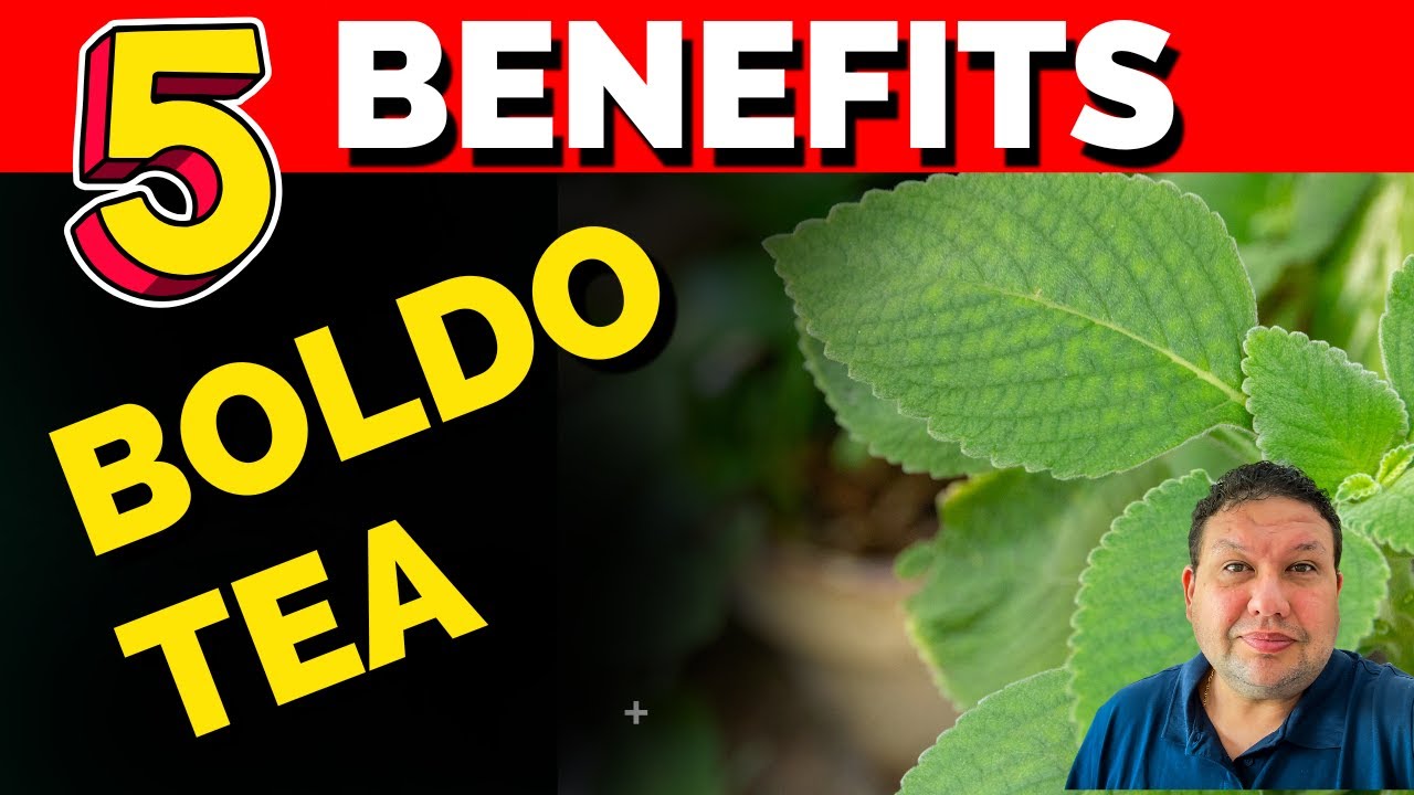 5 benefits of boldo tea !!!