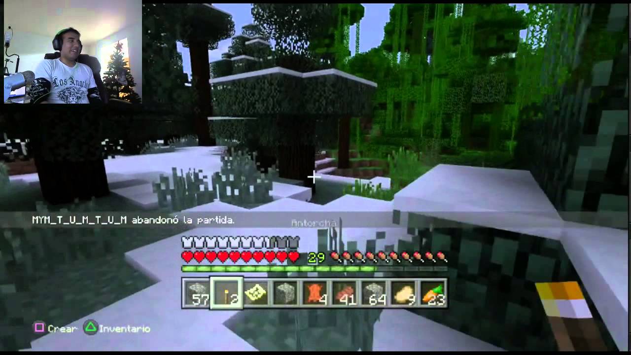Minecraft PS4 De Regreso al mundo raro