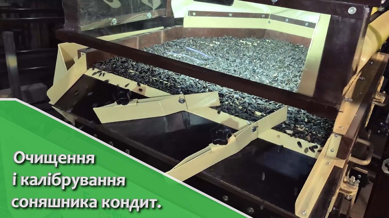 Очищення і калібрування кондитерського соняшника