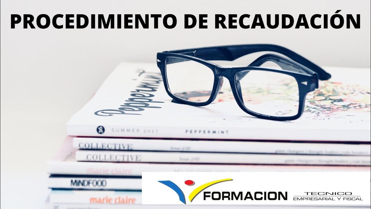 PROCEDIMIENTO DE RECAUDACIÓN