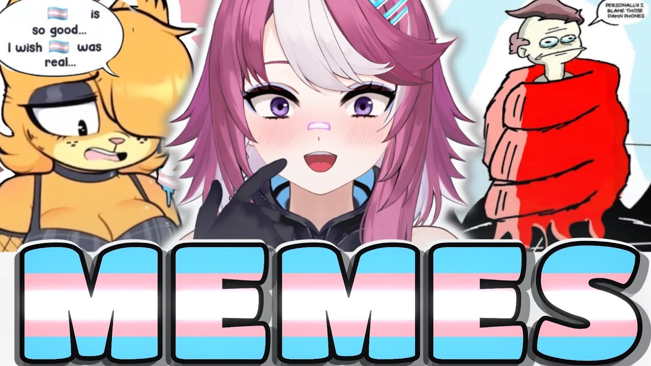 Funniest TRANS MEMES - 🏳️&zwj;⚧️Pride Month SPECIAL🏳️&zwj;⚧️