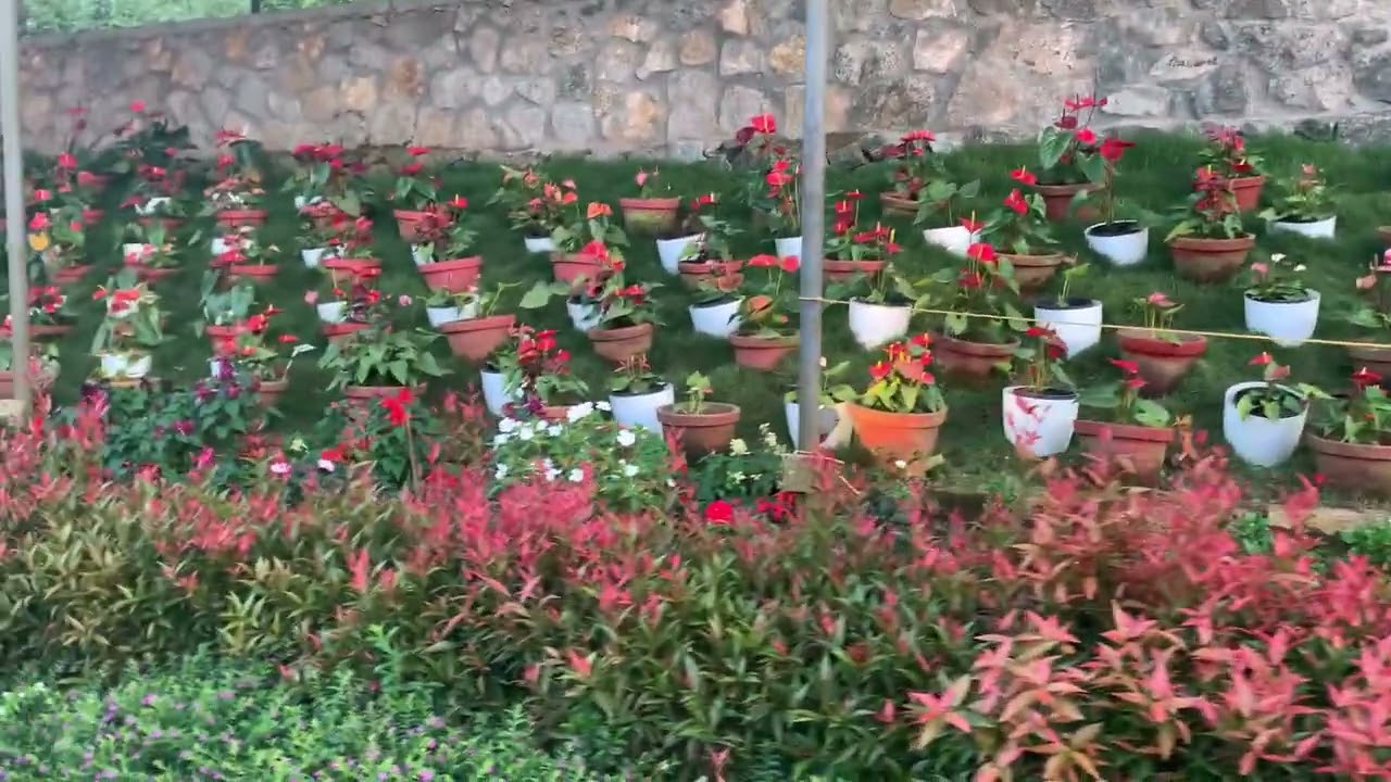 Botanical garden, Munnar, kerala
