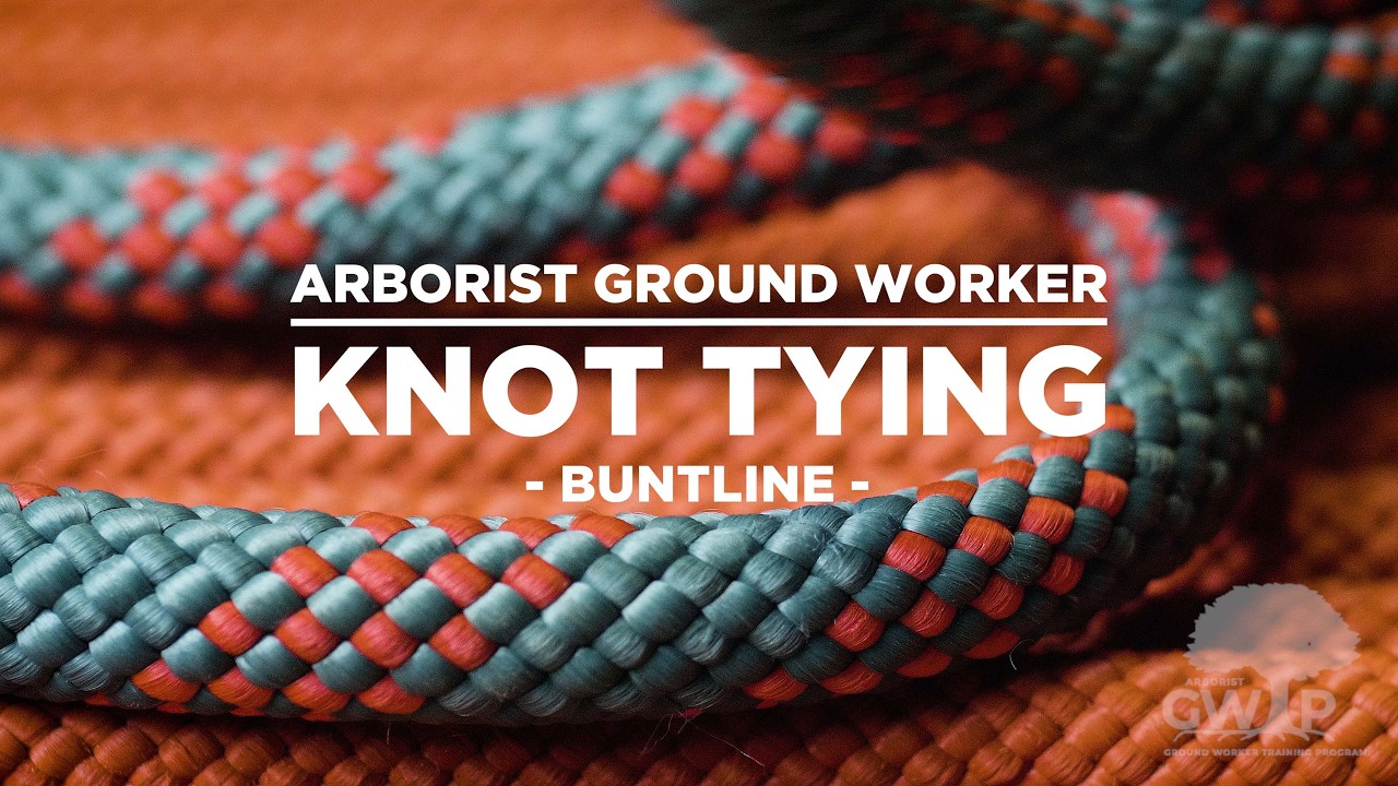 Buntline