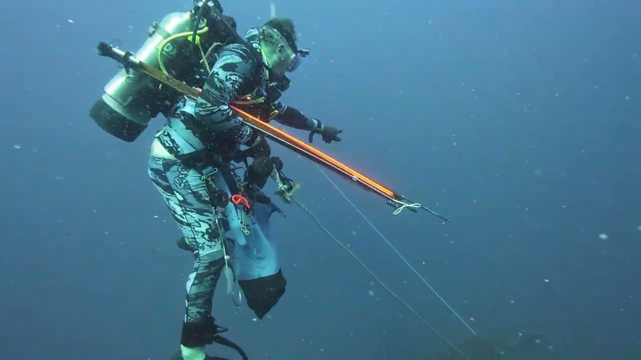 Clearest dive in NC - Normania