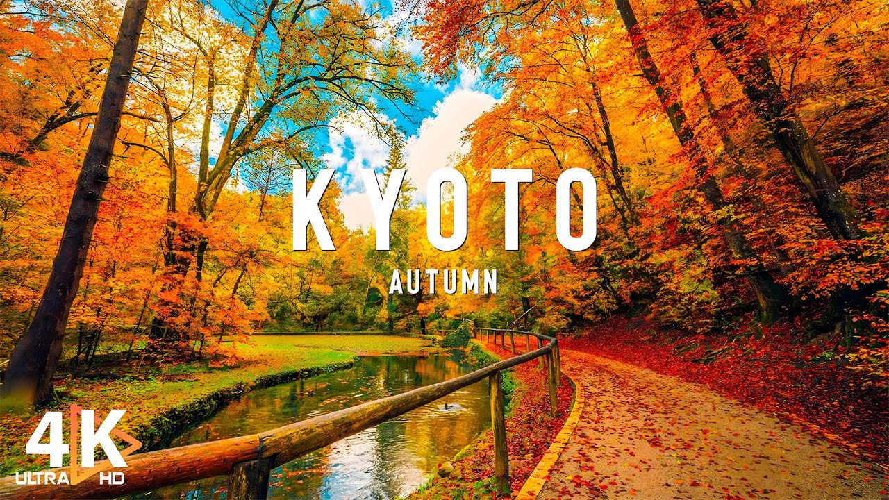 Autumn In Kyoto Japan  4K Video | Exploring the Majestic Temples Amidst the Red Leaves - Travel Vlog