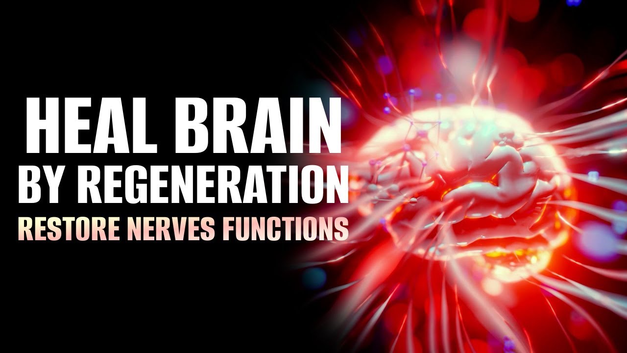 Brain Plasticity | Heal Brain By Regeneration | Restore Nerves Functions | 528 Hz Isochronic Tones