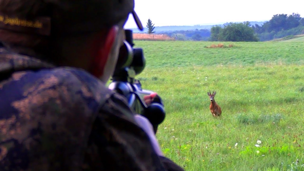 Blattzeit! das musst du wissen! - Hunter Brothers