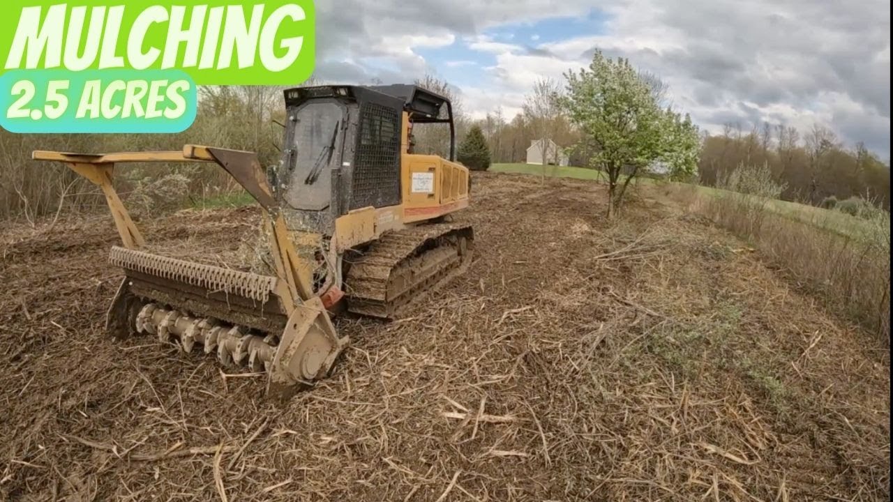 2.5 Acre forestry mulching/land clearing project!
