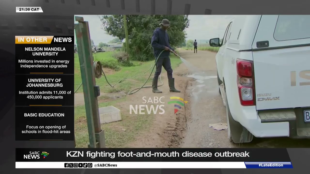 KZN fighting foot and mouth disease outbreak