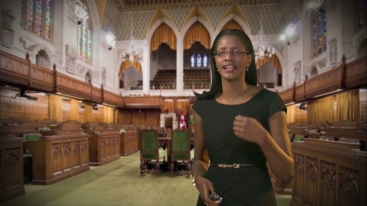 Public Law - Judicial Review  Part 4