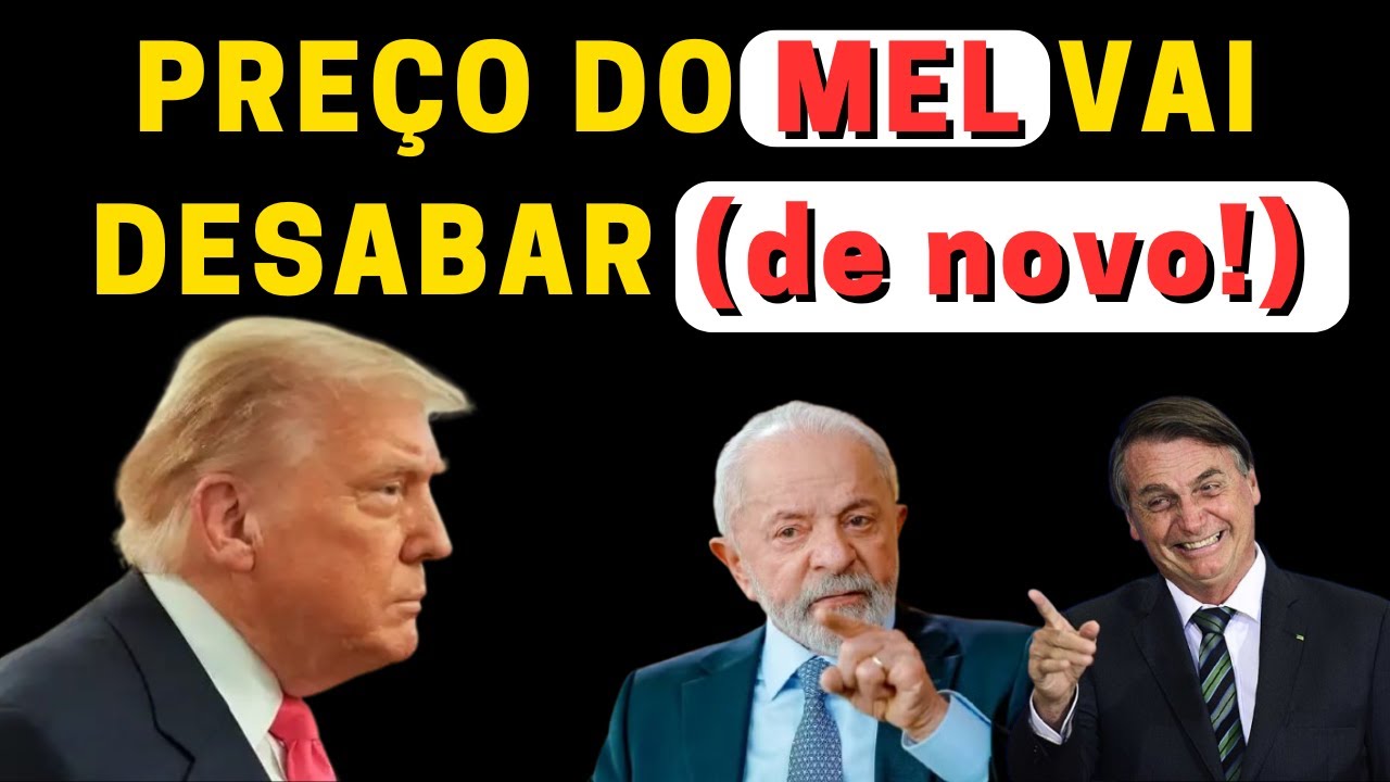 COMO tarifação do Trump pode derrubar PREÇO DO MEL no Brasil