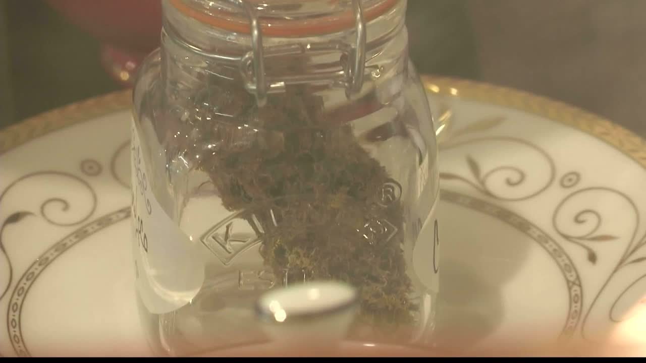 Number of Montana medical marijuana patients growing