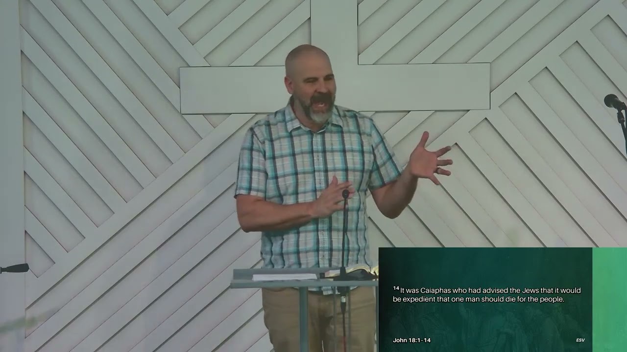 Put Away Your Sword (John 18:1-14)