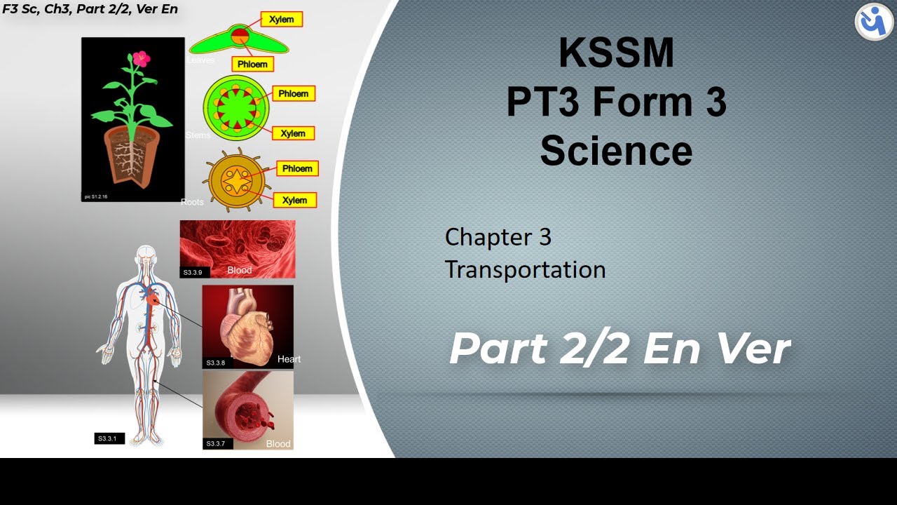 #PT3 #KSSM #Science | Form 3 | Chapter 3 | Transportation | Part 2/2, Eng