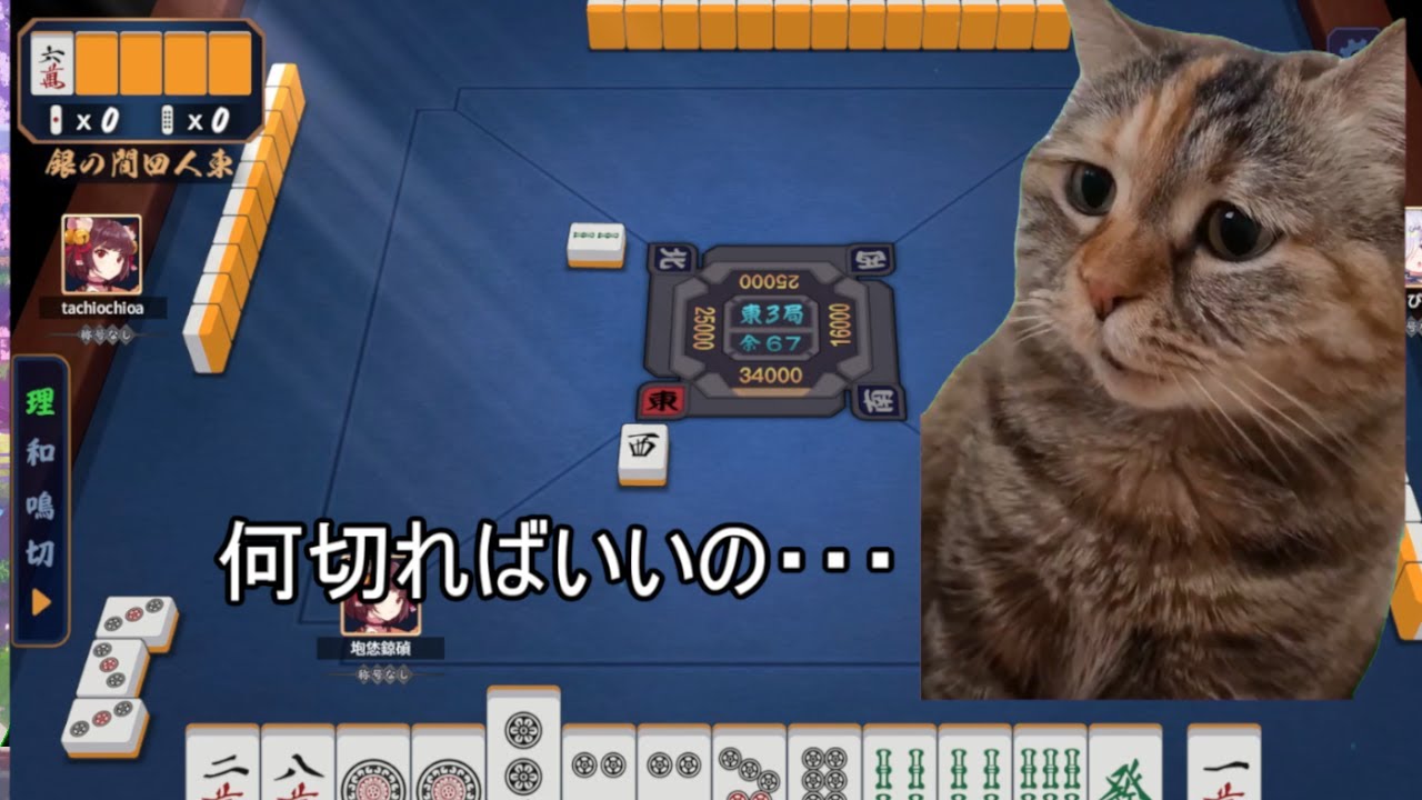 【雀魂】銀の間プレイヤーの思考と実態　#猫ミーム　#猫ミーム実況　#猫マニ