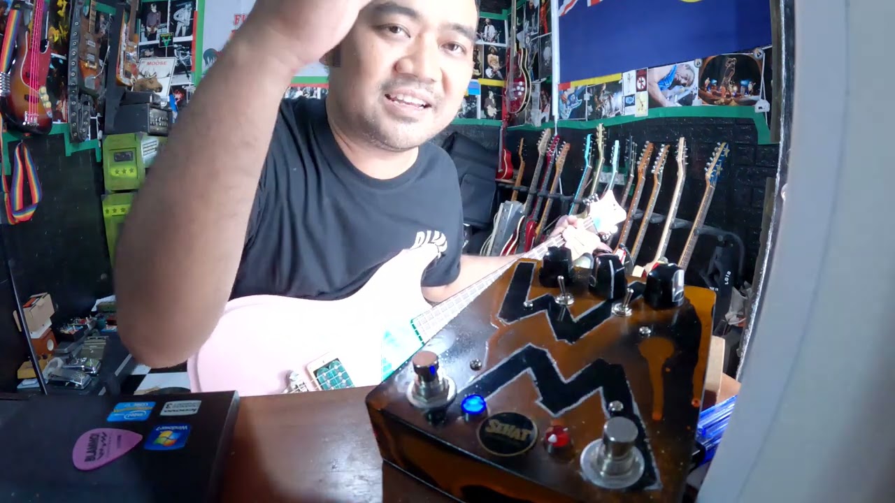 SEHAT Effectors WAR MASTER (HArmonic Percolator and Rangemaster in a box)