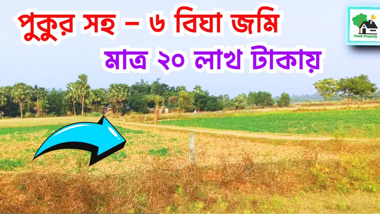 Fp - 1072 | পুকুর সহ - ৬ বিঘা জমি মাত্র ২০ লাখ টাকায় | Fresh Property | 9073 145 145