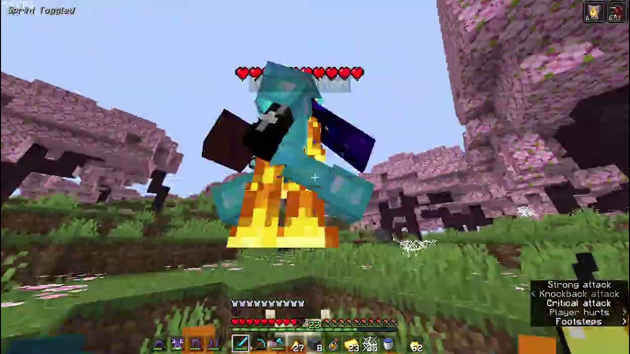 smp when it was op lifesteal*