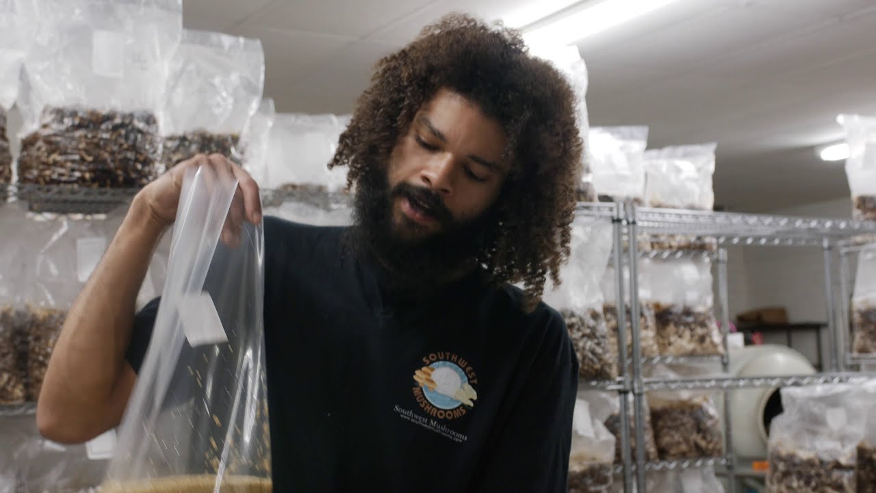 Making 93 Grain Spawn Bags | Southwest Mushrooms