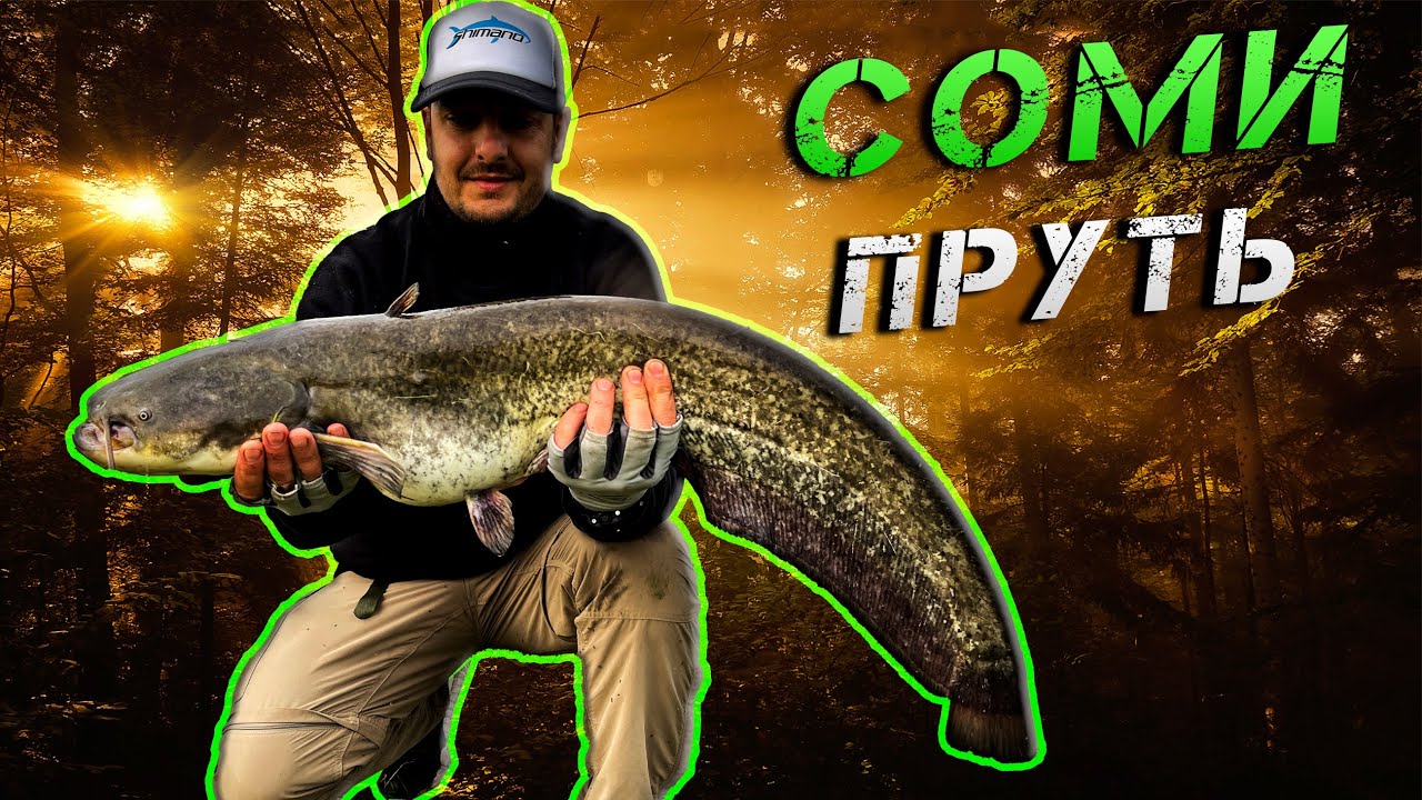 ✅СОМИ ПРУТЬ! ЖЕРЕХИ ПРУТЬ! Сом і Жерех на Джиг✅