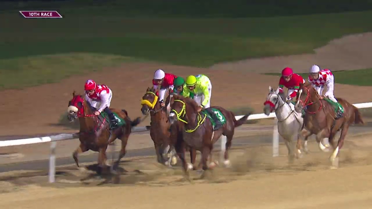 Al Ain 220226 Race 10