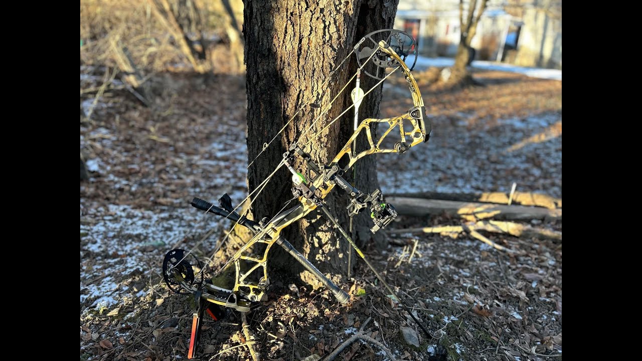 Bear Execute 32 Honest Review