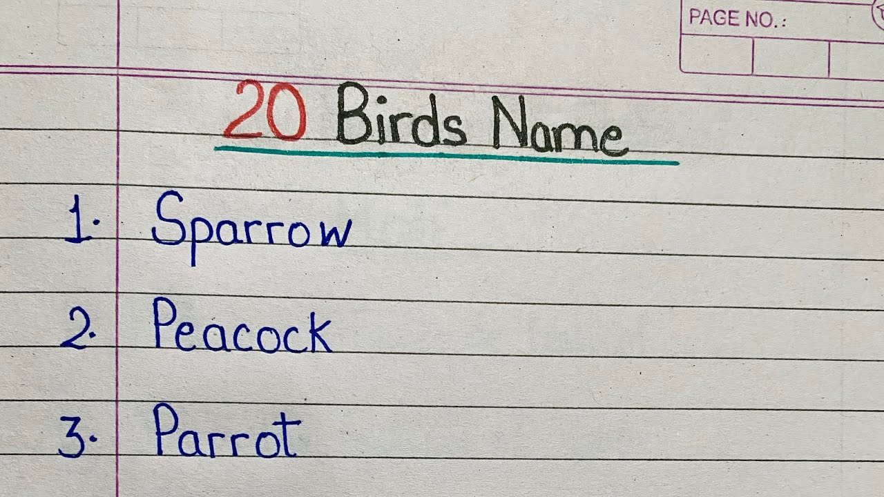 20 Birds Name in English | Birds Name for Kids | Easy English Vocabulary