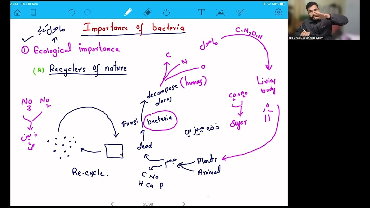 L 15 importance of bacteria and control of bacteria