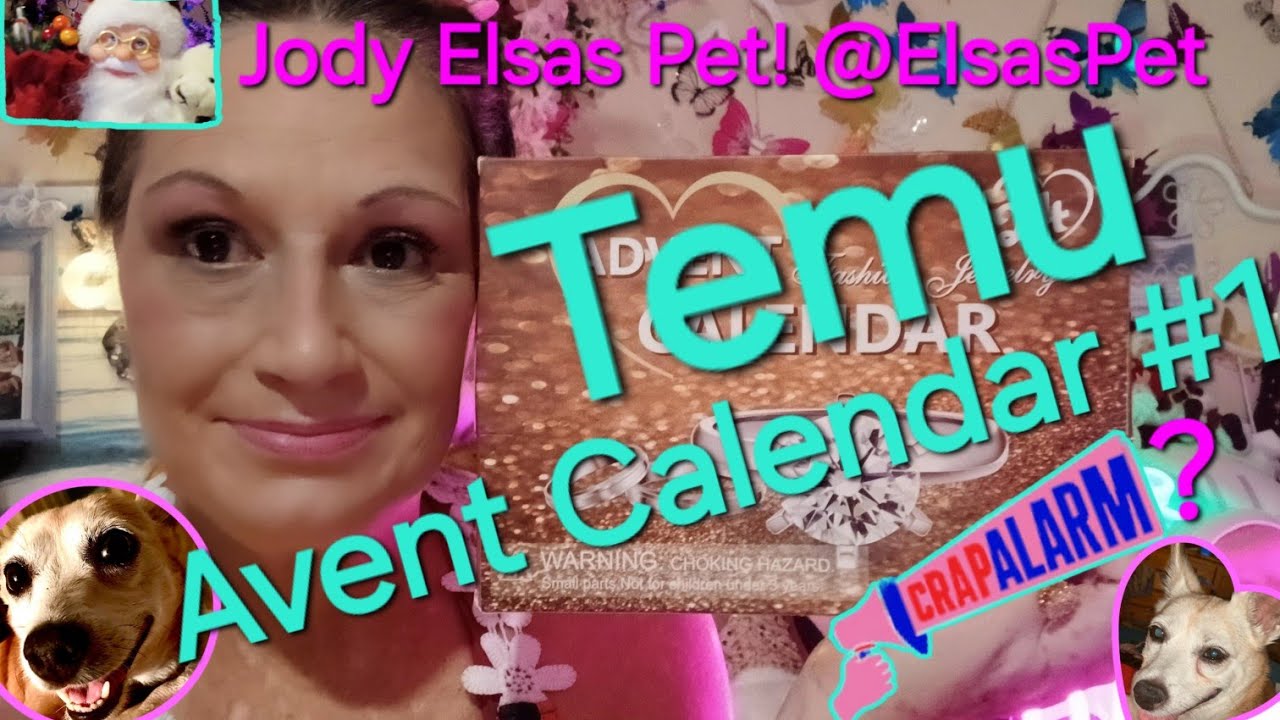 Temu Advent Calendar #1 It's Craptastic! & It's not just me this time! 