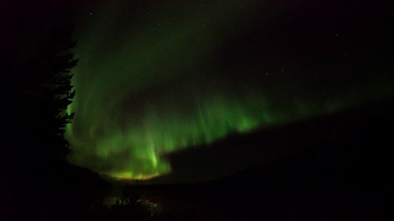 Northern Lights dancing in the sky - Live - Beyond Arctic