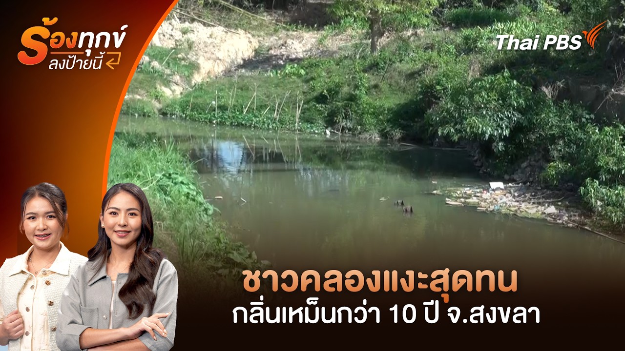 ชาวคลองแงะสุดทน กลิ่นเหม็นกว่า 10 ปี จ.สงขลา | ร้องทุก(ข์) ลงป้ายนี้ | 13 มี.ค. 69