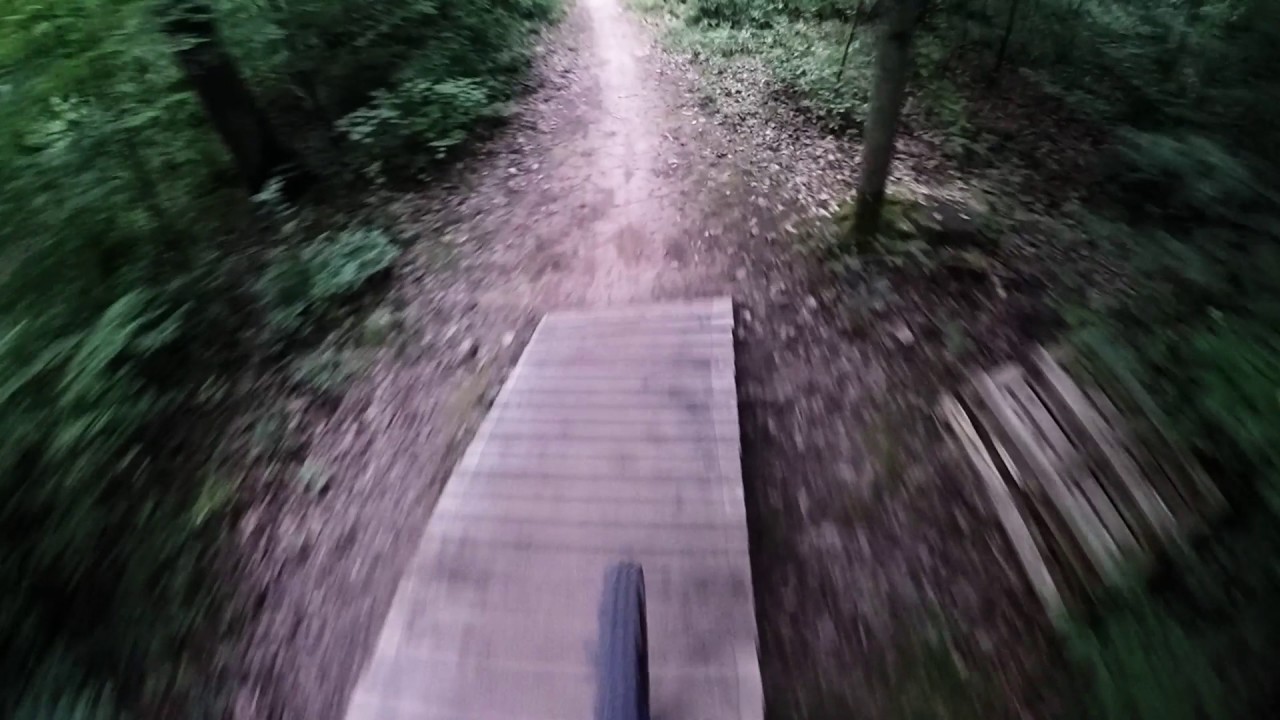 Heilbronn Downhill Schweinsberg August 2017