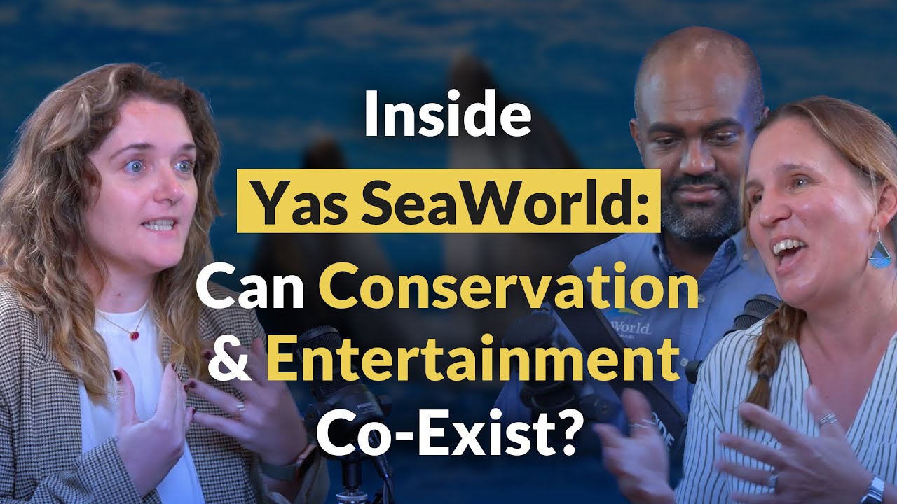 Inside Yas SeaWorld: Can Conservation & Entertainment Co-exist?