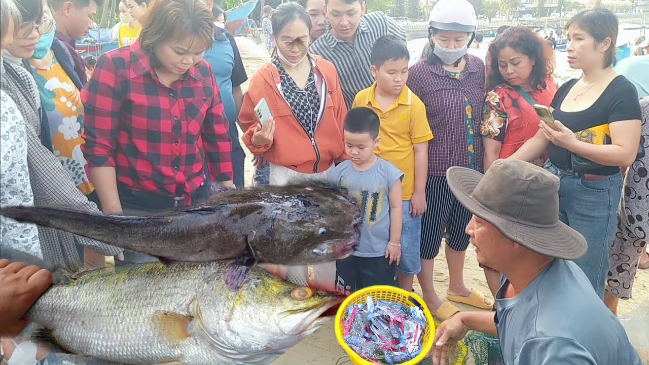 Khách du lịch chờ mua cá chẻm mực nan rập xếp mới vào xớm lưới bãi trước vũng tàu || đời muôn màu tv
